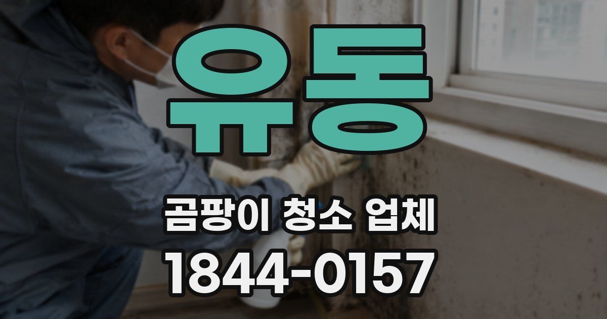 유동 곰팡이 청소 업체