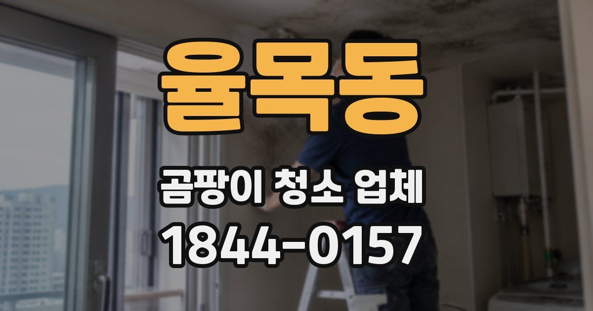 율목동 곰팡이 청소 업체