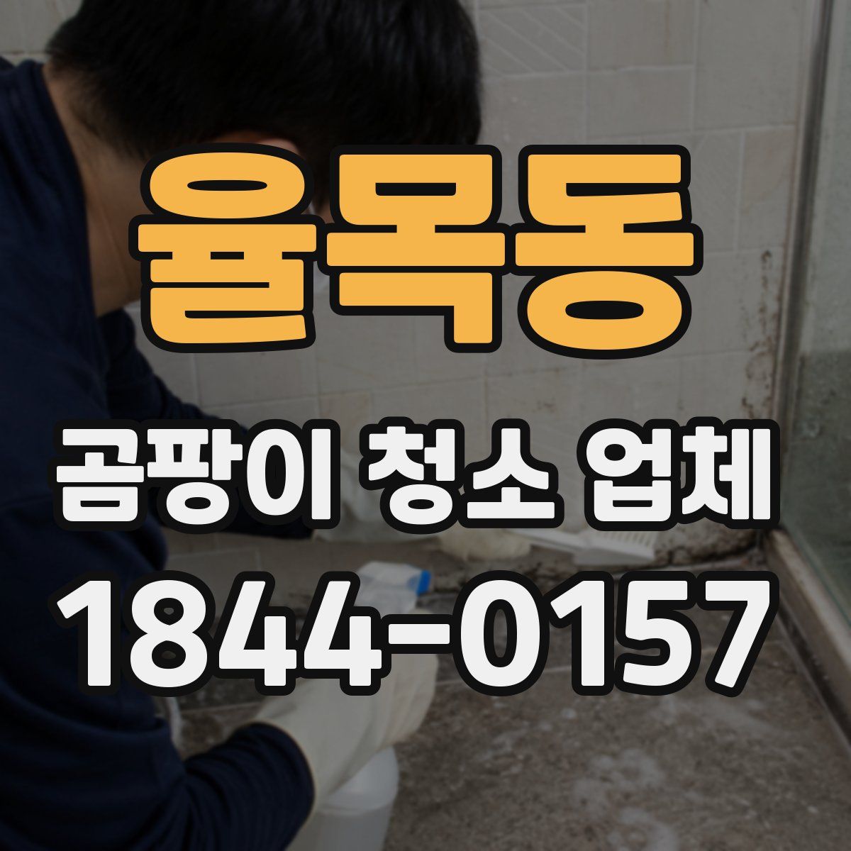 율목동 곰팡이 청소 업체