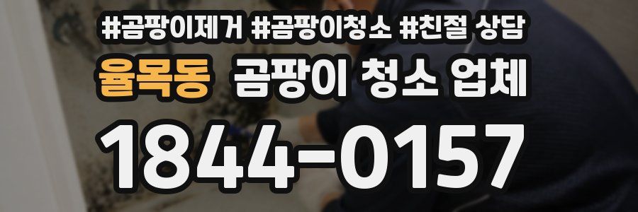 율목동 곰팡이 청소 업체