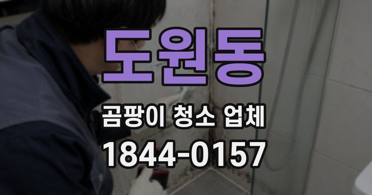 도원동 곰팡이 청소 업체
