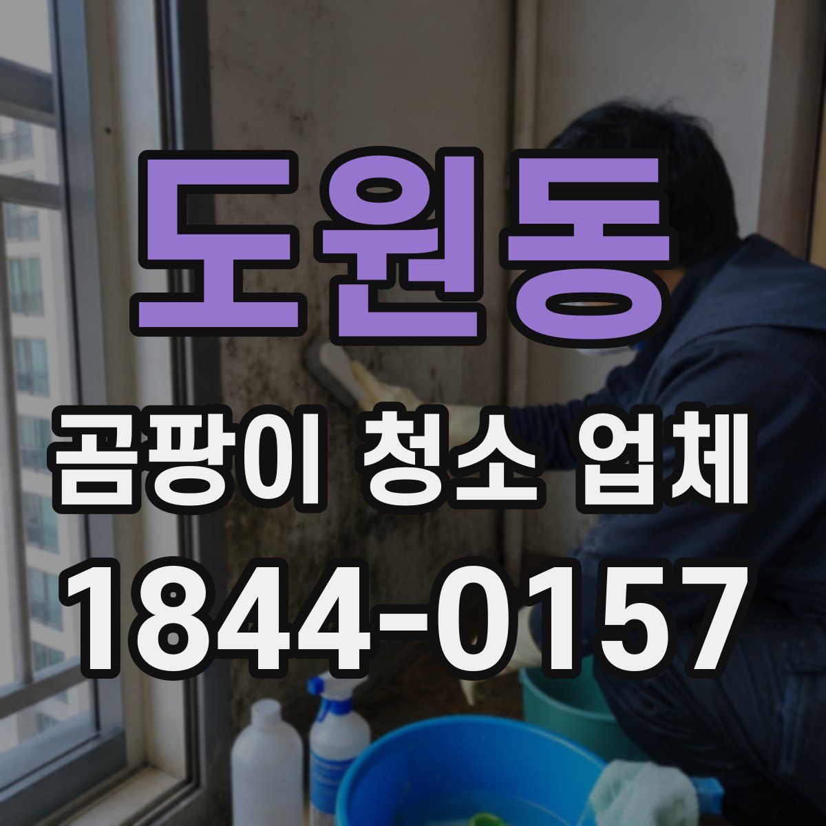 도원동 곰팡이 청소 업체