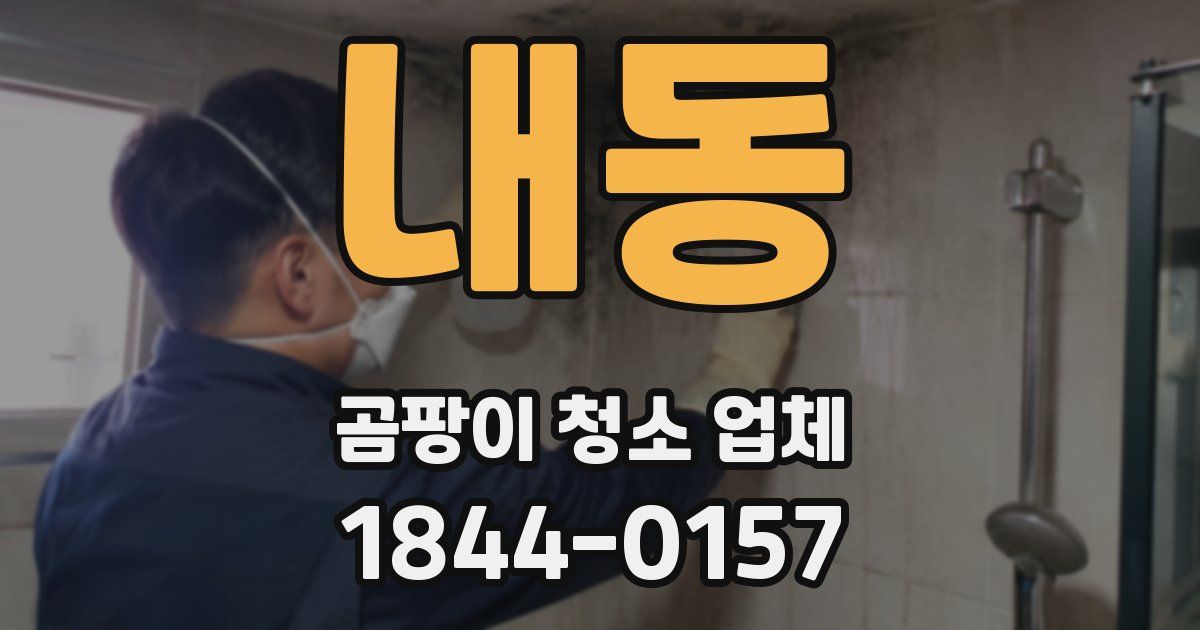 내동 곰팡이 청소 업체