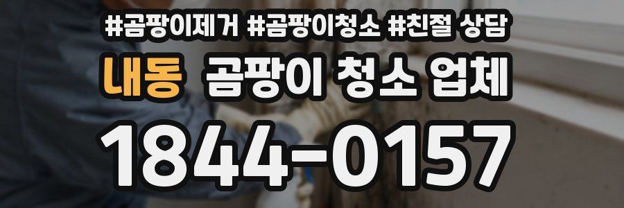내동 곰팡이 청소 업체