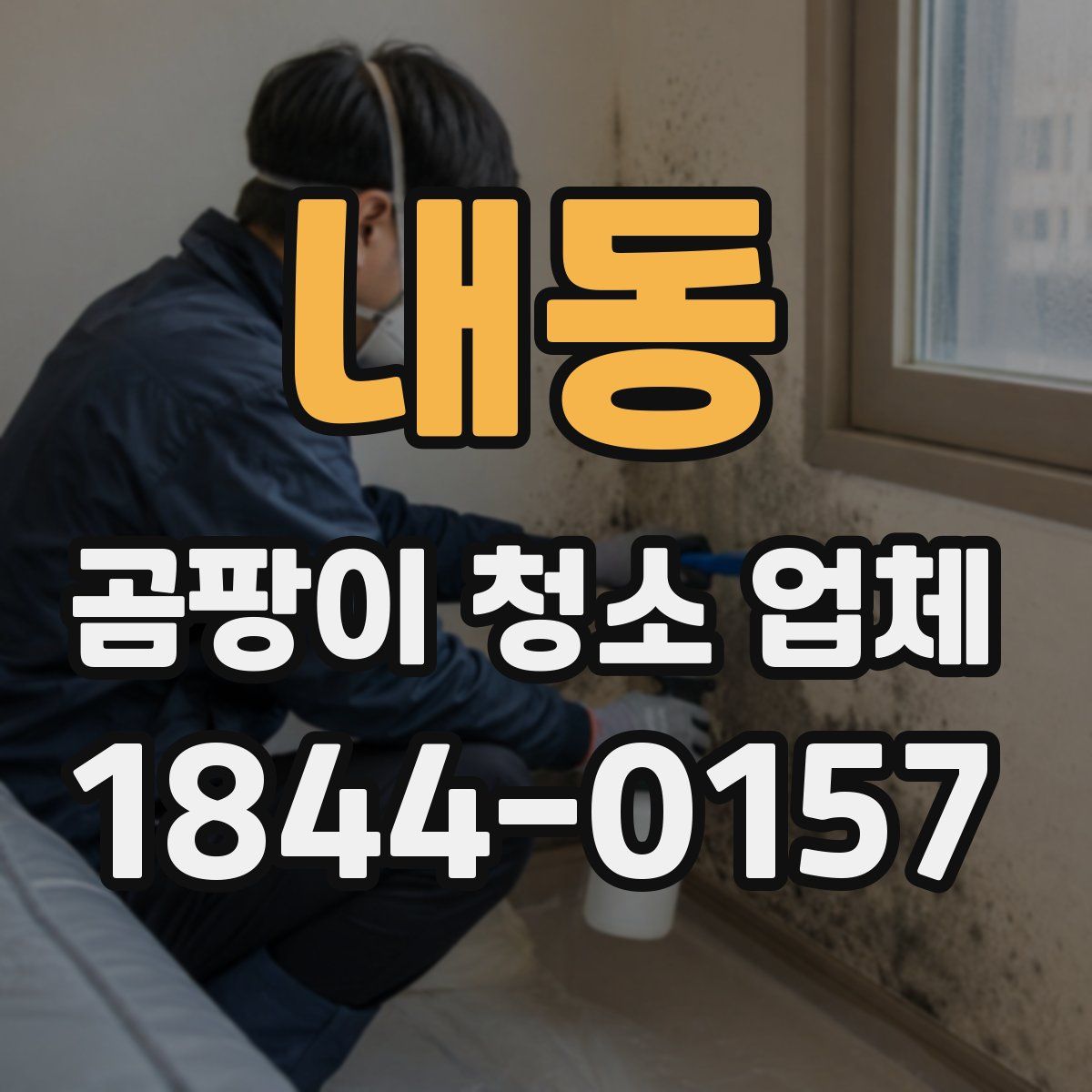 내동 곰팡이 청소 업체