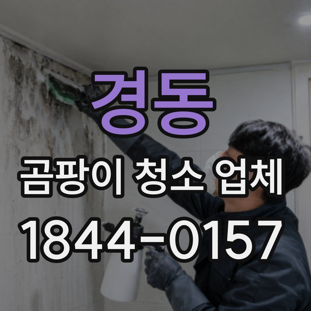 경동 곰팡이 청소 업체