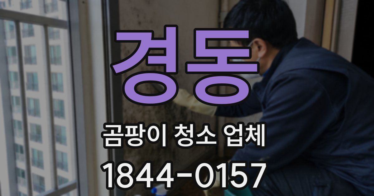 경동 곰팡이 청소 업체