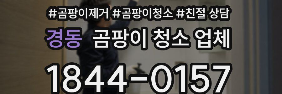 경동 곰팡이 청소 업체