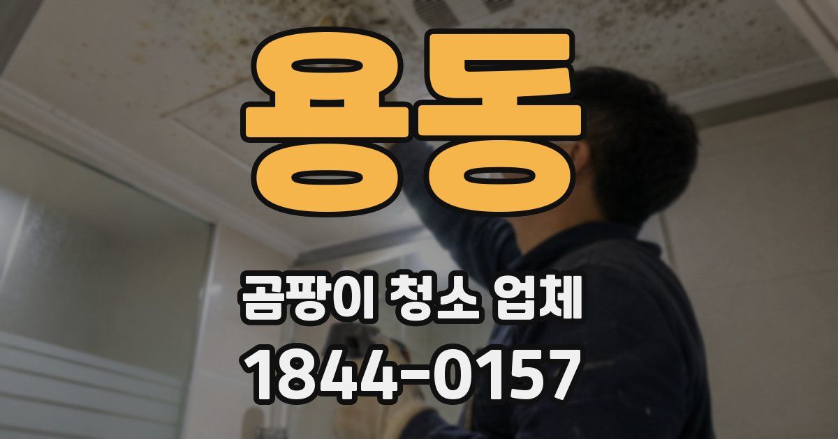 용동 곰팡이 청소 업체
