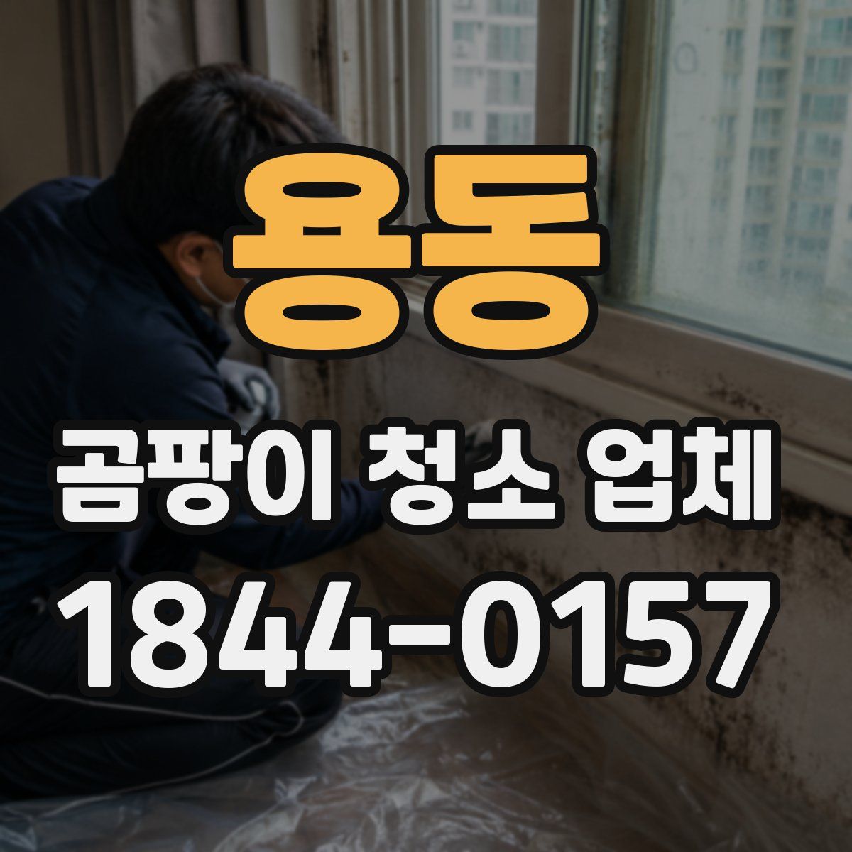용동 곰팡이 청소 업체