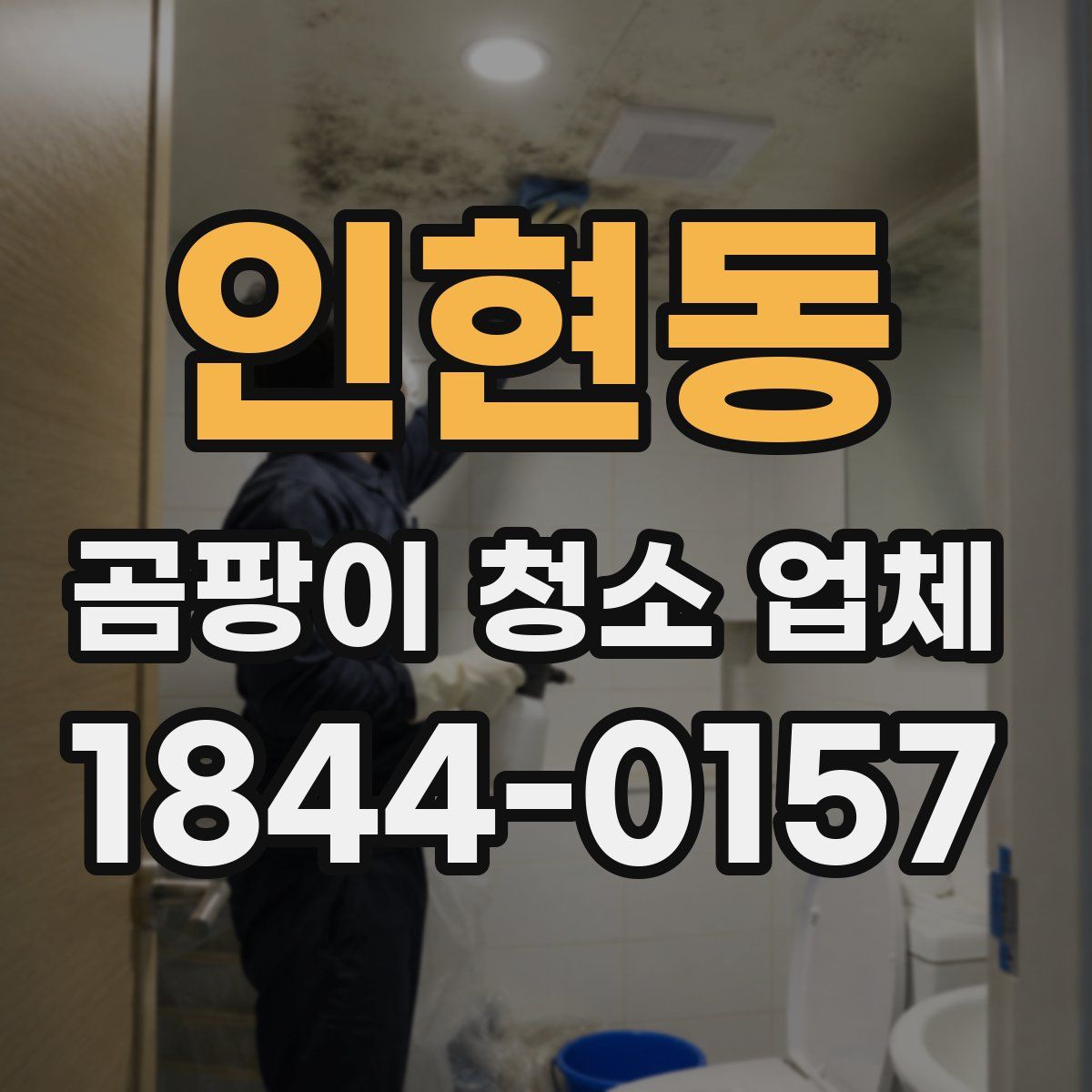 인현동 곰팡이 청소 업체