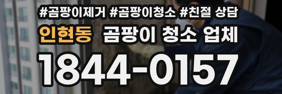 인현동 곰팡이 청소 업체