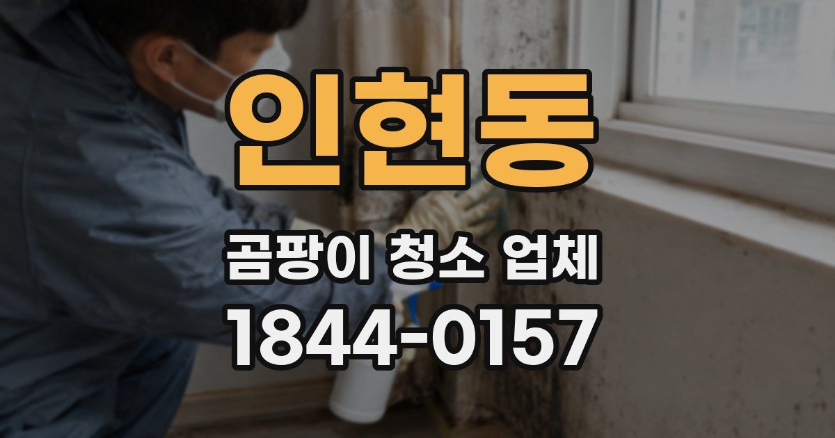 인현동 곰팡이 청소 업체