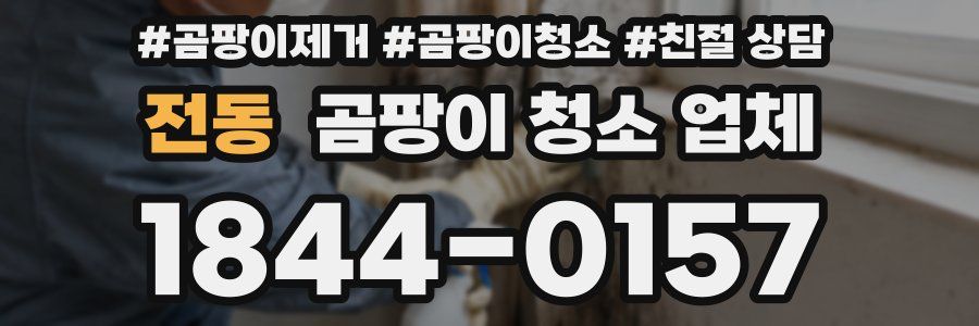 전동 곰팡이 청소 업체