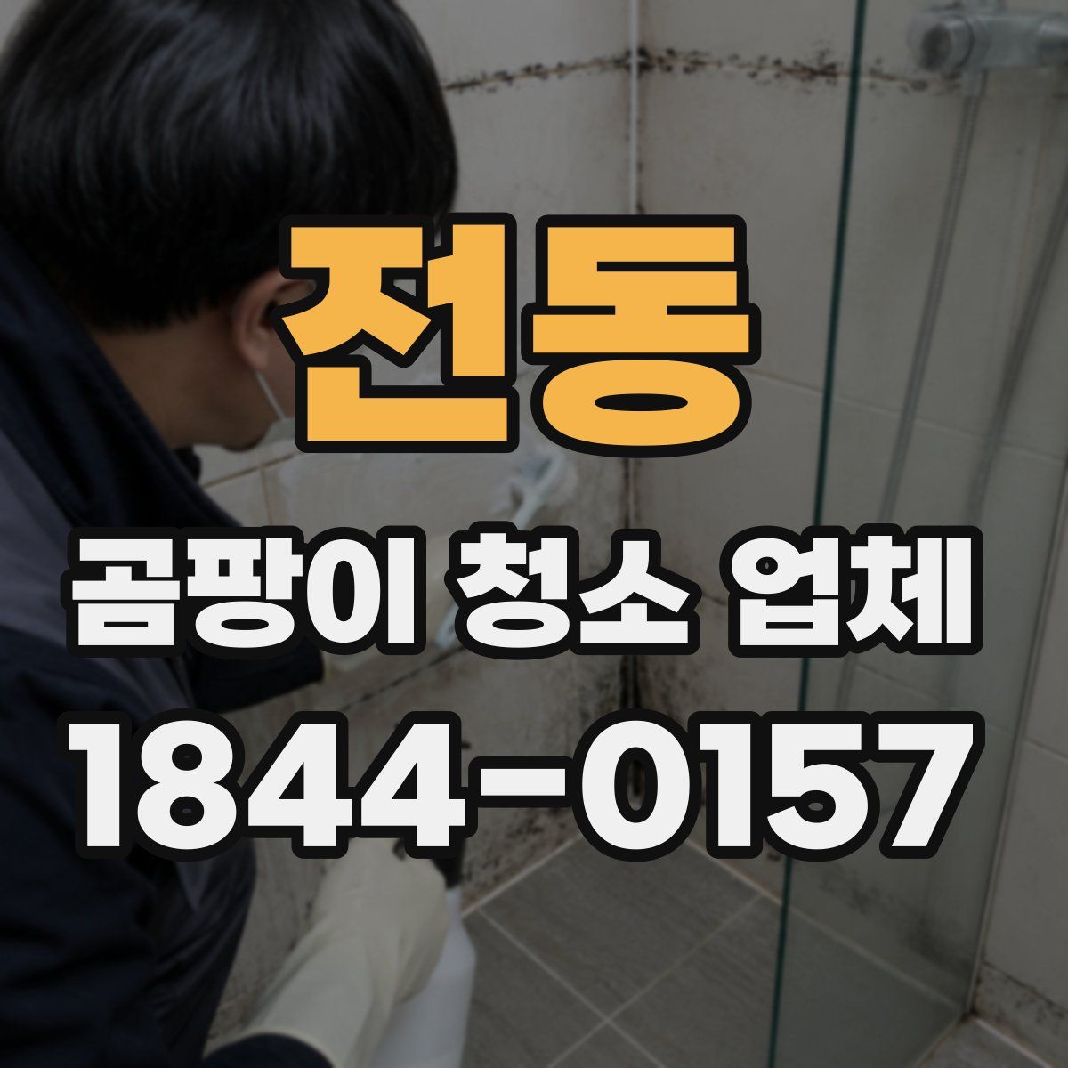 전동 곰팡이 청소 업체