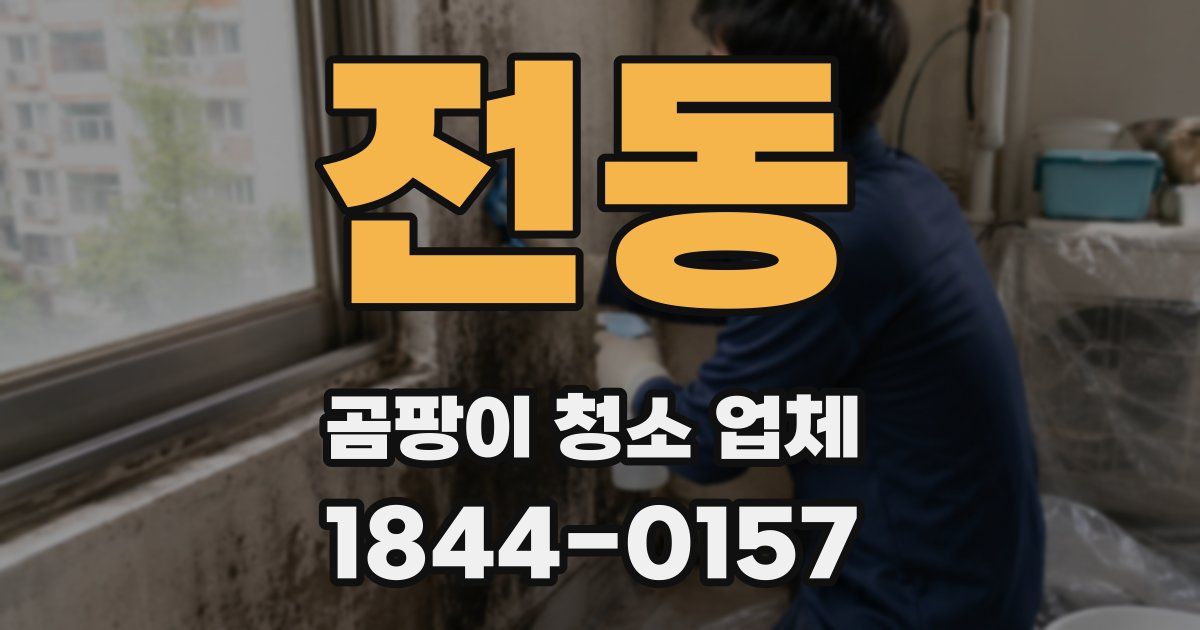 전동 곰팡이 청소 업체