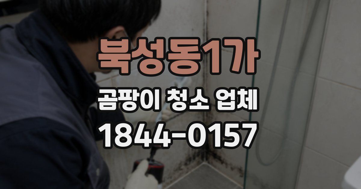 북성동1가 곰팡이 청소 업체