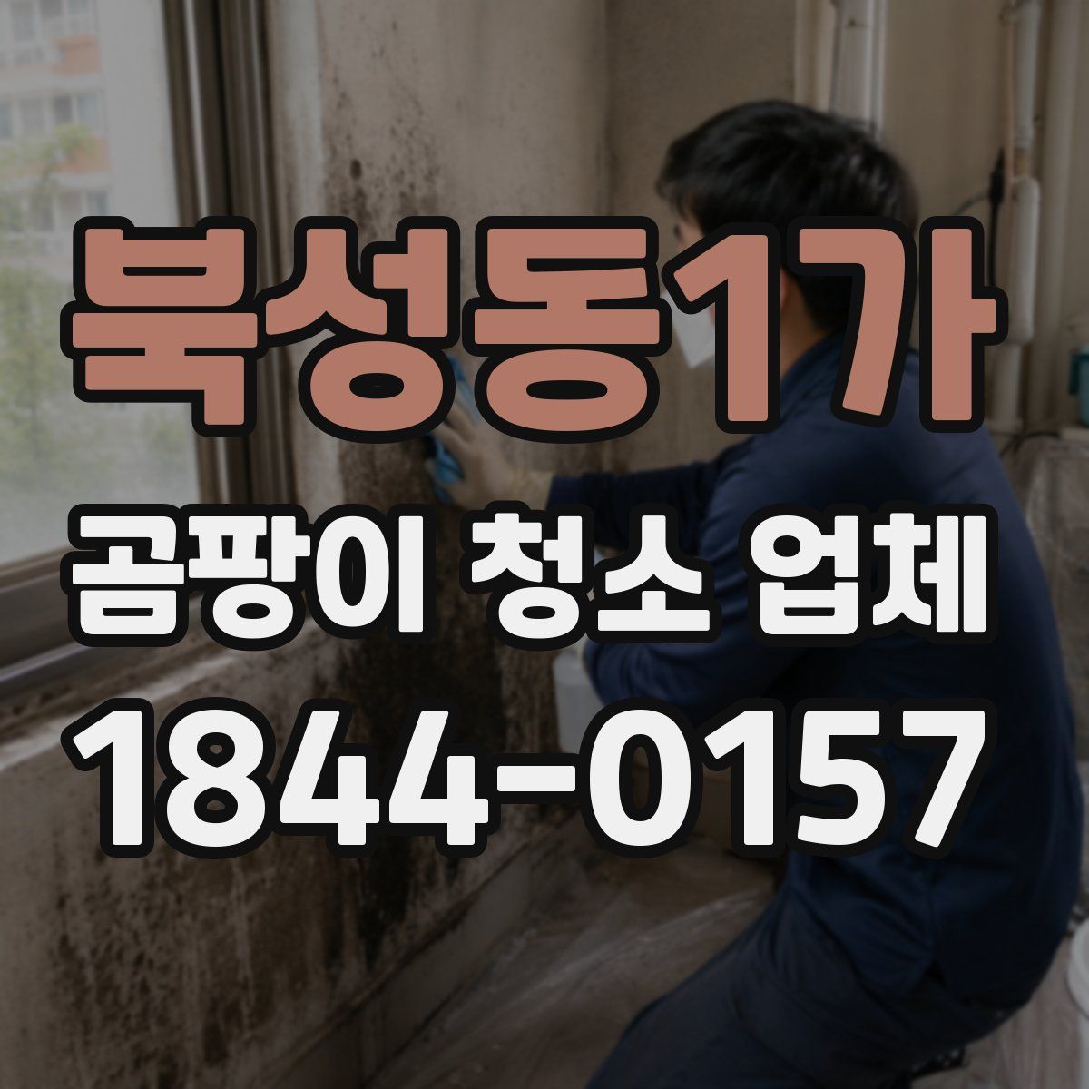 북성동1가 곰팡이 청소 업체