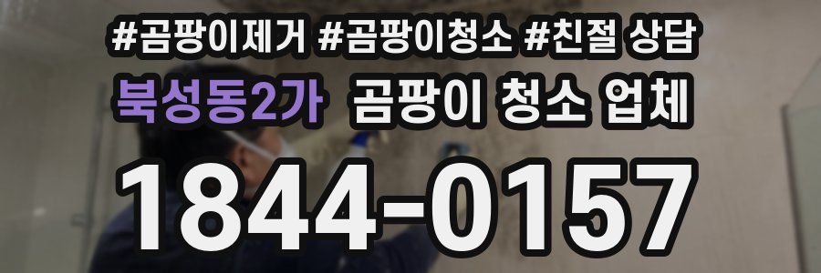 북성동2가 곰팡이 청소 업체