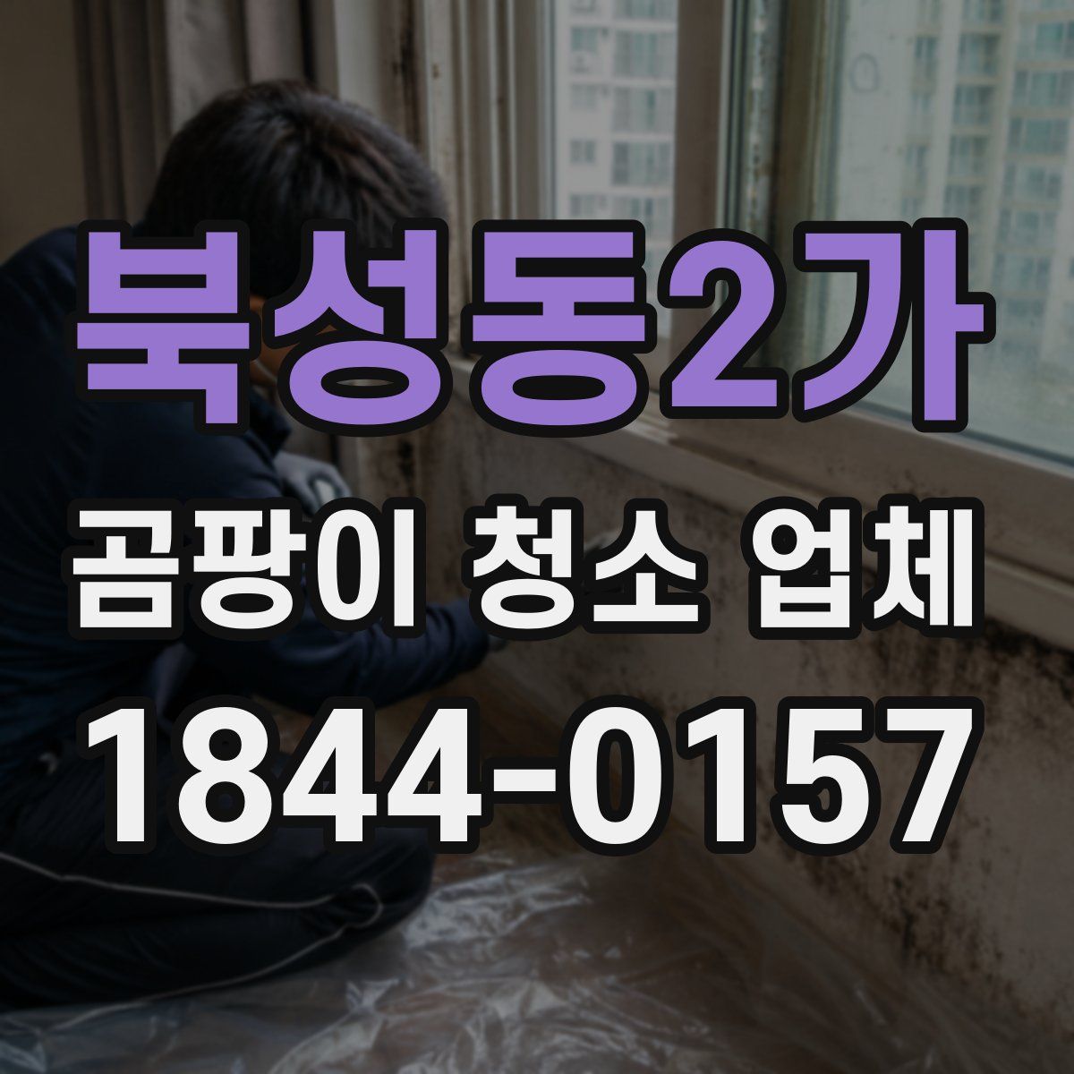 북성동2가 곰팡이 청소 업체