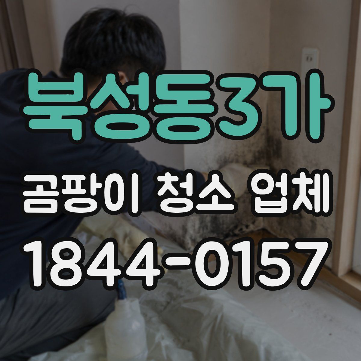 북성동3가 곰팡이 청소 업체