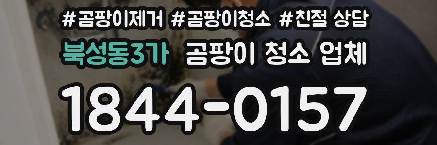 북성동3가 곰팡이 청소 업체