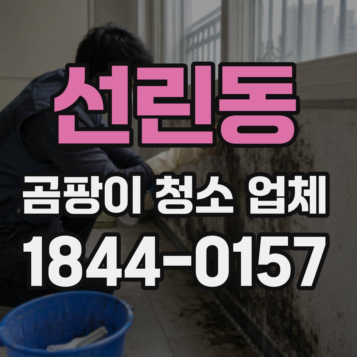 선린동 곰팡이 청소 업체