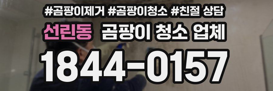 선린동 곰팡이 청소 업체