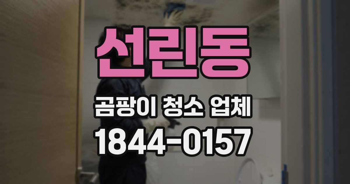 선린동 곰팡이 청소 업체