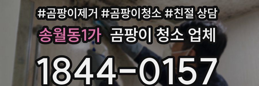 송월동1가 곰팡이 청소 업체