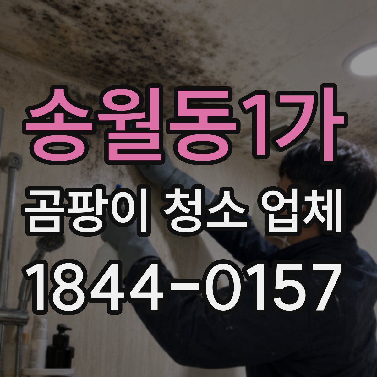 송월동1가 곰팡이 청소 업체