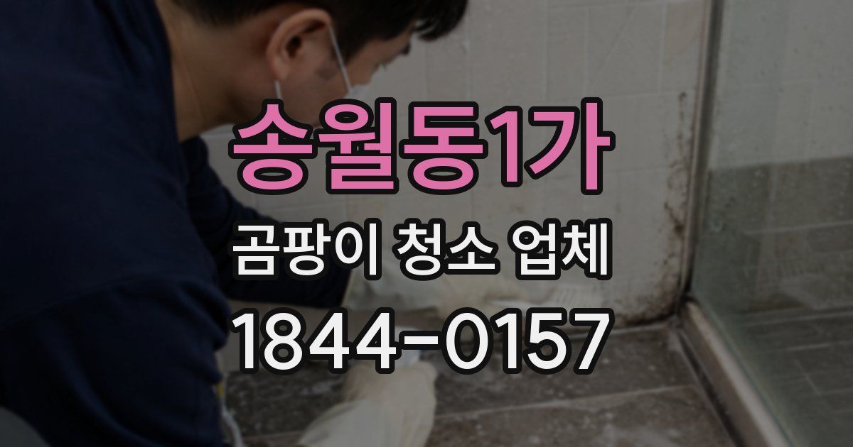 송월동1가 곰팡이 청소 업체