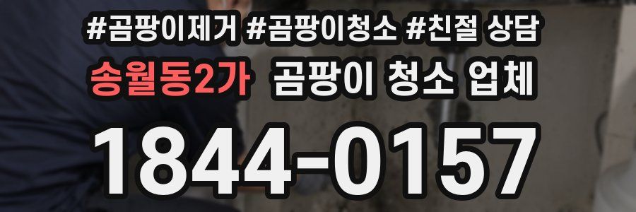 송월동2가 곰팡이 청소 업체