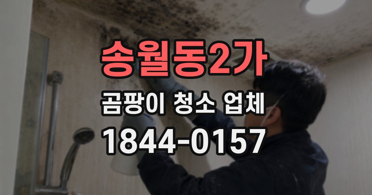 송월동2가 곰팡이 청소 업체