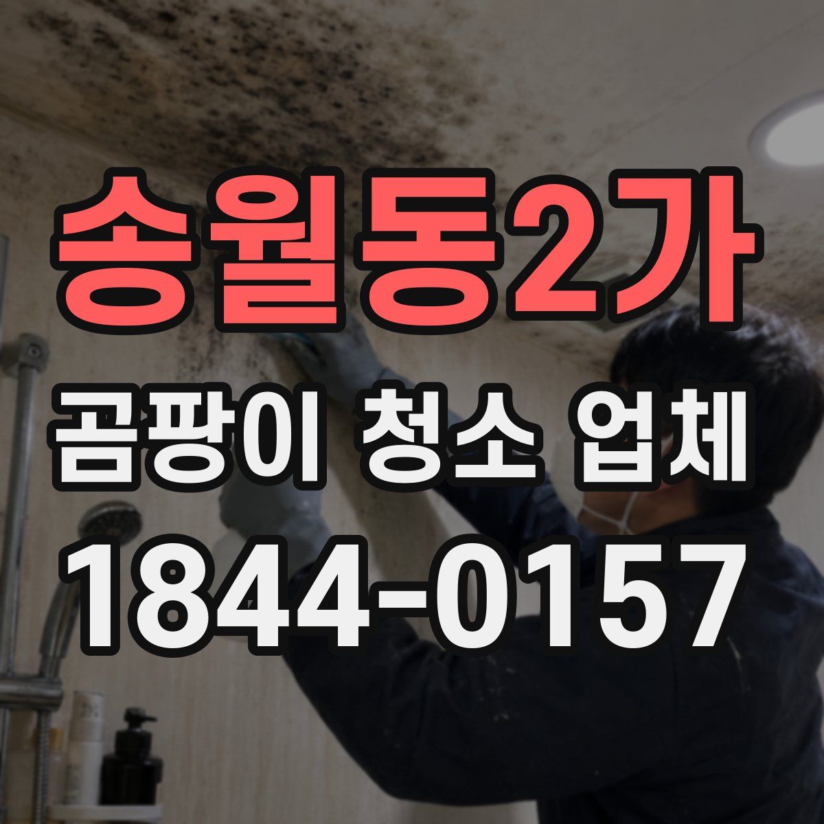 송월동2가 곰팡이 청소 업체