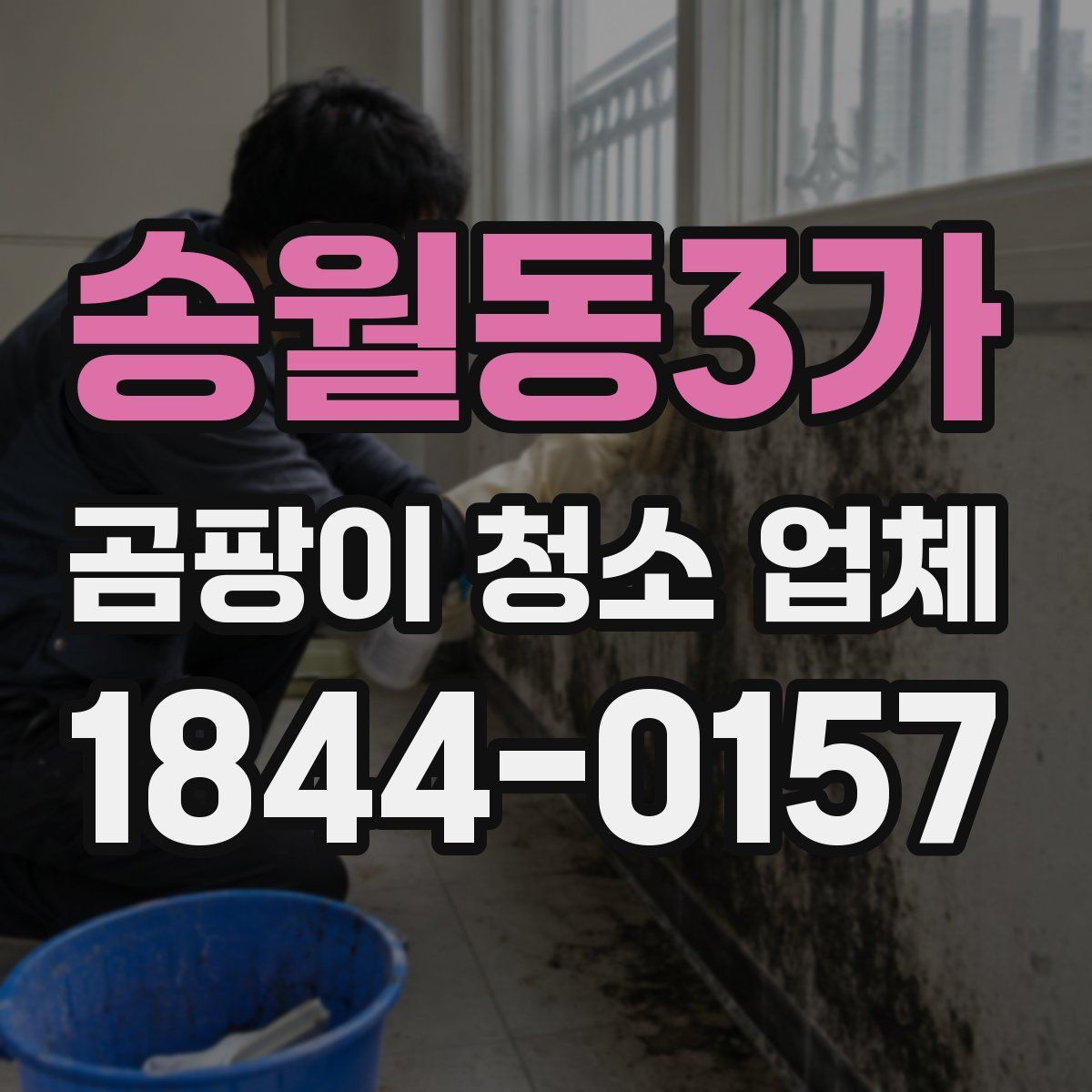 송월동3가 곰팡이 청소 업체