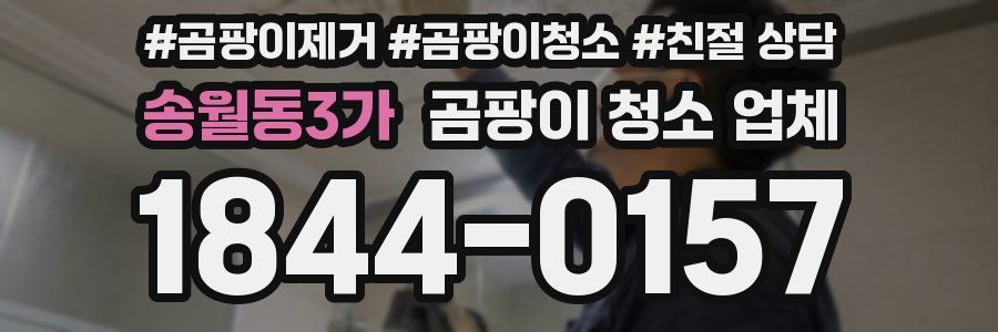 송월동3가 곰팡이 청소 업체