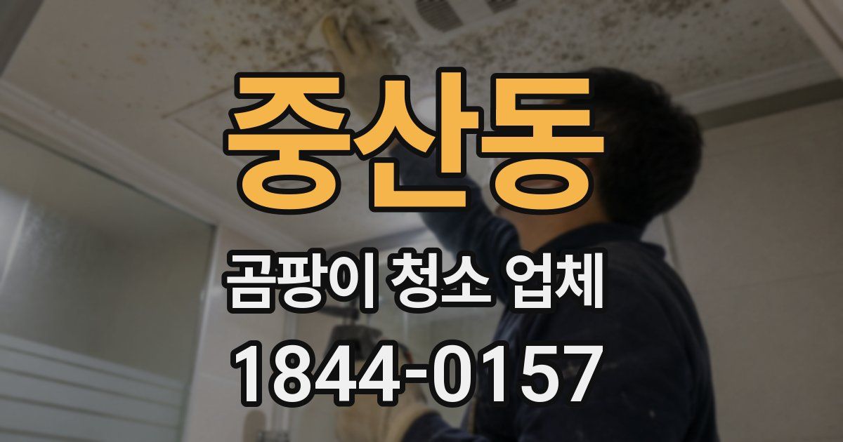 중산동 곰팡이 청소 업체
