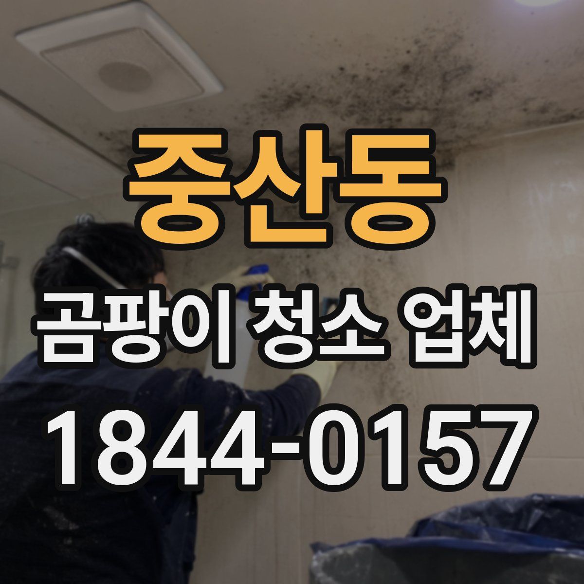 중산동 곰팡이 청소 업체