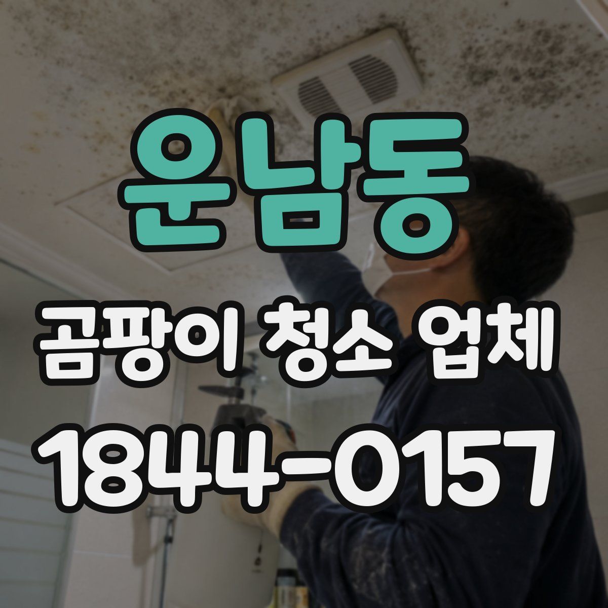 운남동 곰팡이 청소 업체