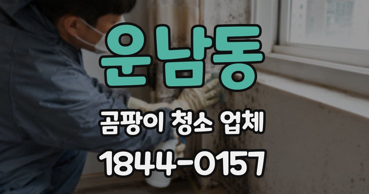 운남동 곰팡이 청소 업체