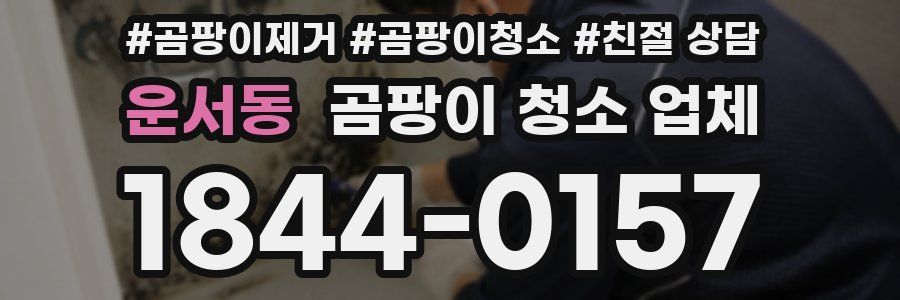 운서동 곰팡이 청소 업체