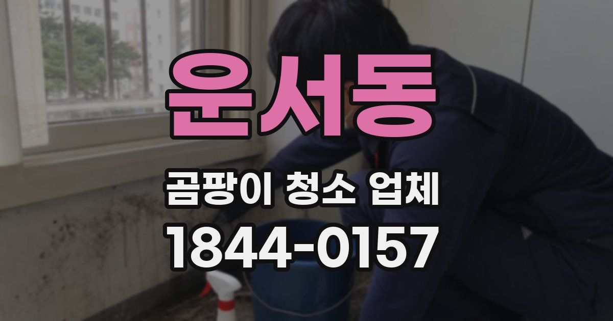 운서동 곰팡이 청소 업체