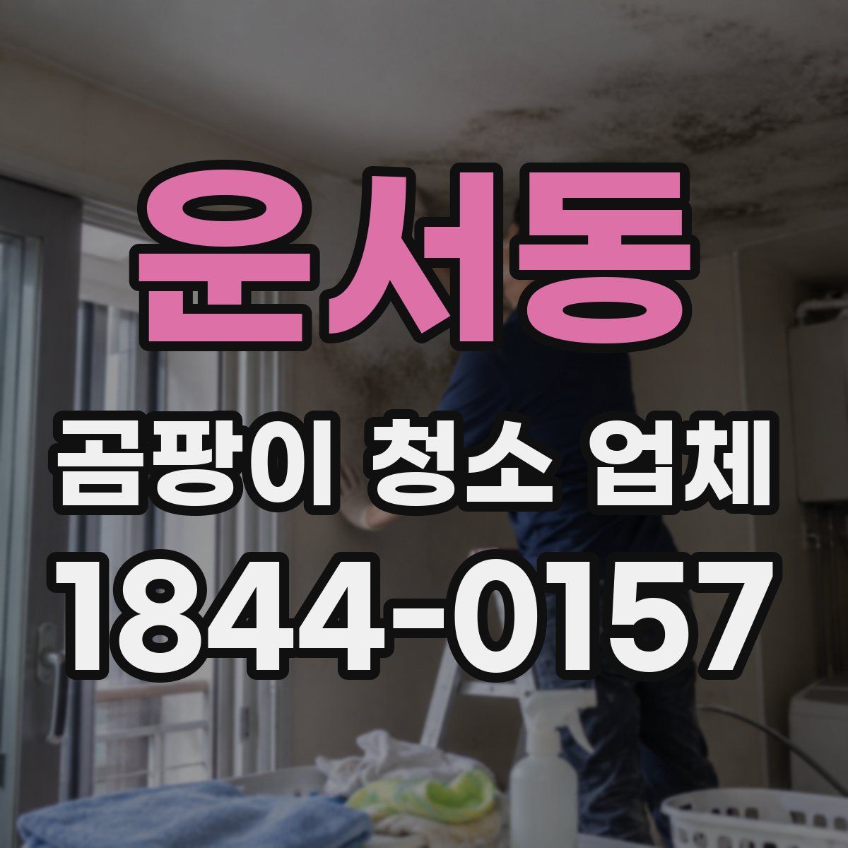 운서동 곰팡이 청소 업체