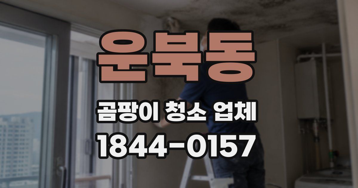 운북동 곰팡이 청소 업체