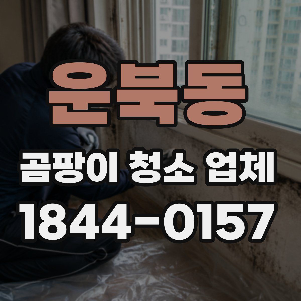 운북동 곰팡이 청소 업체