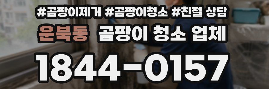 운북동 곰팡이 청소 업체