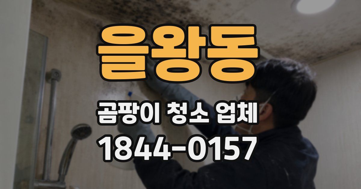 을왕동 곰팡이 청소 업체