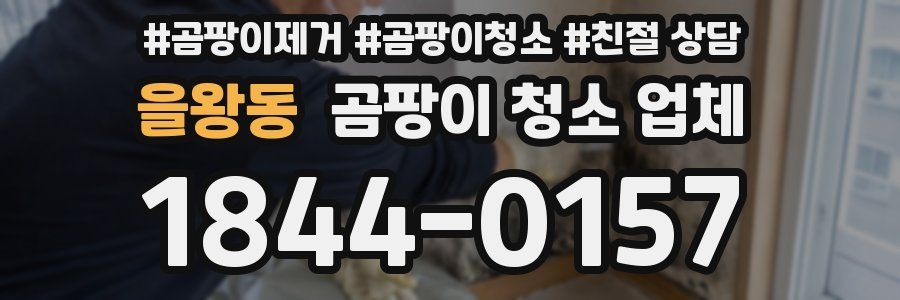 을왕동 곰팡이 청소 업체