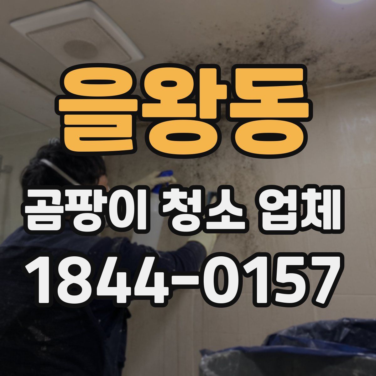 을왕동 곰팡이 청소 업체